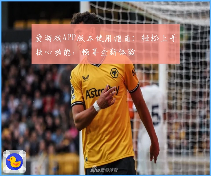 爱游戏APP版本使用指南：轻松上手核心功能，畅享全新体验